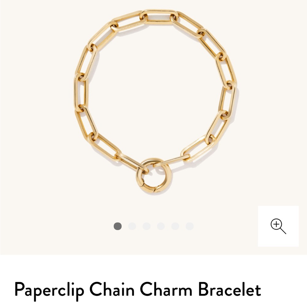 Mejuri Paperclip Chain Charm bracelet